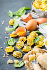 Italian food and ingredients, handmade tortellini with spinach and ricotta