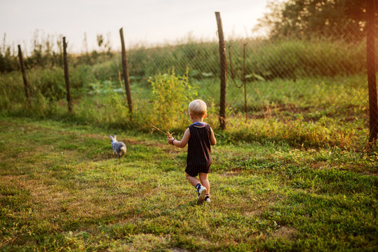 Picture of a small boy playing in a yard with his rabbit. Pets are best friends.