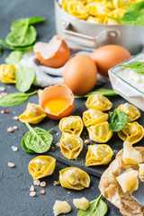 Italian food and ingredients, handmade tortellini with spinach and ricotta