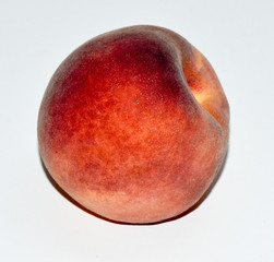Pfirsich - Prunus persica