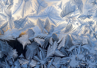 Eisblume in blau