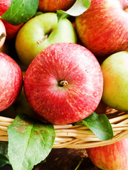 Red apples background