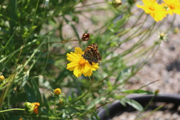 Botanical Garden