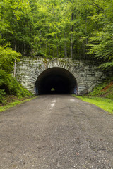 Fototapeta na wymiar Tunnel On An Abandoned Highway Project