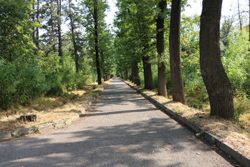 Botanical Garden