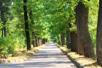 Botanical Garden