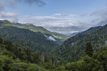Fototapeta na wymiar Smoky Mountains Scenic Landscape 