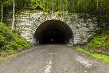 Fototapeta na wymiar Tunnel On An Abandoned Highway Project