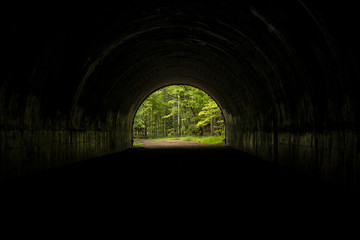 Inside A Tunnel Looking Out