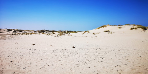 Beachday 2