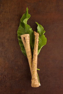 Horseradish roots with leaves, top shot.