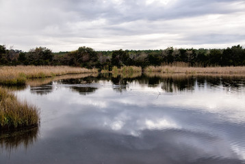 Fototapeta na wymiar Salt Water Marsh with Reflections in the Water