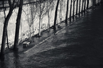 Paris, France. Flooded embankment in evening golden sunlight rays. Ducks swimming on the promenade. High water on Seine river in winter. Seasonal landscape. Black and white photo.
