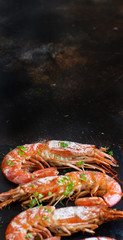 Grilled shrimps close up