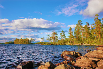 Lanscape with lake and pines Karelia