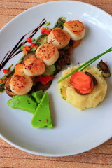 Plate of scallops cooked with its vegetables garnish in a french gastronomic restaurant
