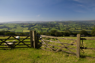 View of farming fields in Devon