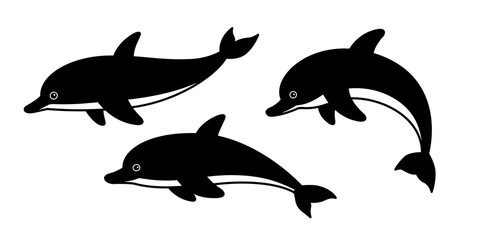 dolphin vector fish icon logo shark whale cartoon character illustration symbol doodle