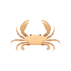 Beige crab with five pairs of legs. Sea creature with big claws. Marine animal. Flat vector for restaurant menu or promo flyer