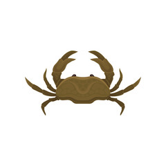 Small brown crab with big claws. Marine animal. Sea creature. Flat vector element for mobile game or cafe menu