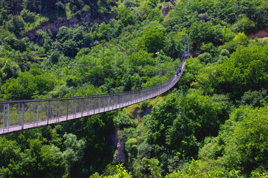 Fototapeta ..suspended bridge on forest