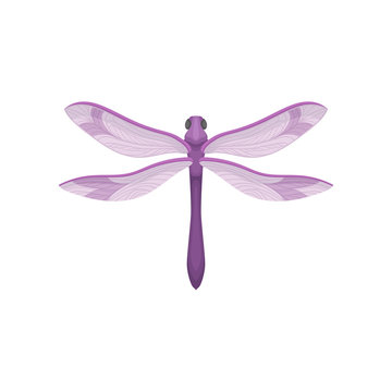 Flat vector icon of small dragonfly with purple body and beautiful wings. Small fast-flying insect