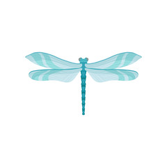 Obraz na płótnie Canvas Small bright blue dragonfly with two pairs of fragile wings. Beautiful flying insect. Flat vector for textile or greeting card