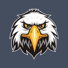 Mascot Head of an Eagle
