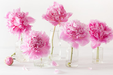 beautiful pink peony flowers bouquet in vase © Olga Miltsova