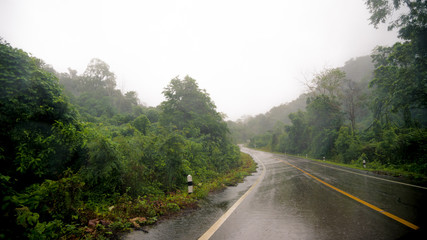 Foggy road in the forest ,Beautiful nature trail (Picture put grain)