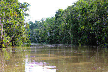 Malaysian River