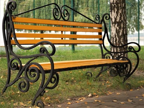 yellow wooden bench in an autumn park among birches and willow trees