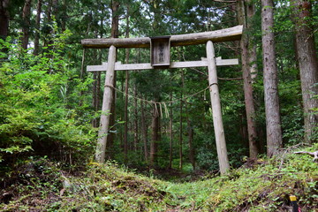 山の神社の鳥居