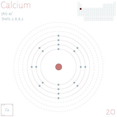 Large and colorful infographic on the element of Calcium.