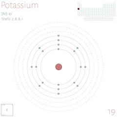 Large and colorful infographic on the element of Potassium.