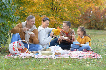 Family having a picnic in the park