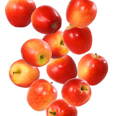 isolated image of red apples on white background