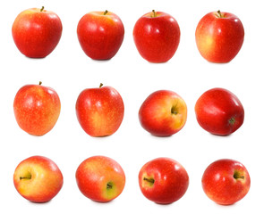 isolated image of red apples on white background