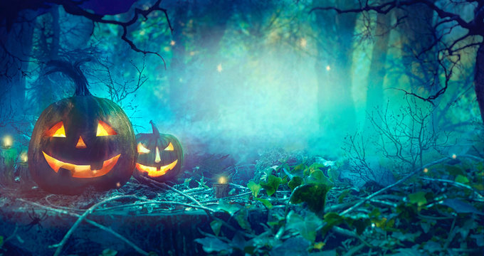 Halloween theme with pumpkins and dark forest.  Halloween design