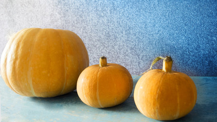 Three pumpkins lie on a beautiful blue background.