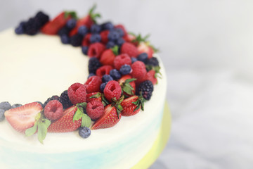 Beautiful festive cake biscuit with different creams