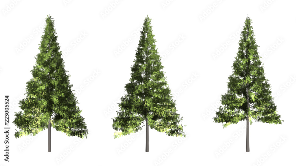 Sticker the collection of tree. christmas tree isolated on white background with clipping path.