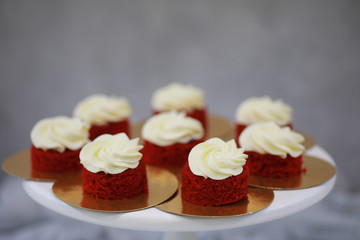 Beautiful festive cake biscuit with different creams