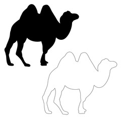 silhouette of a camel walking on a white background