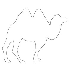 isolated contour of a camel on a white background