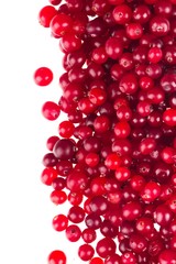 Cranberries