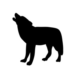 vector isolated silhouette wolf on white background