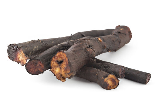Healthy Comfrey roots (Symphytum officinale) isolated on a white background. Comfrey is used in organic medicine.