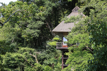 臥龍山荘の風景　（愛媛県大洲市）