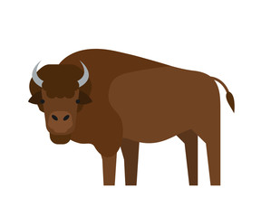 cartoon bison flat illustration on white background © tarikdiz